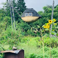 長野
神長官守矢資料館

空飛ぶ泥舟
高過庵
低過庵

夢のある建物

藤森照信氏設計