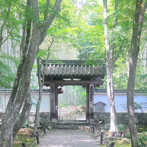 地蔵院（竹の寺）