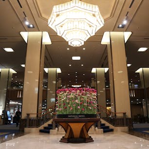 The Imperial Hotel / Tokyo

季節によって変わる帝国ホテルのロビー装花。「ケイトウ」が主役の秋の訪れを感じる装花は、どこから見ても美しく、天井からの大きなシャンデリアの光に照らされて輝いています。
この場所は待ち合わせだけでなく、記念撮影のために立ち寄る人も多い人気スポットです♪

#tokyo #tokyosightseeing #tokyorestaurant  #imperialhotel_jp_official #bluemoon