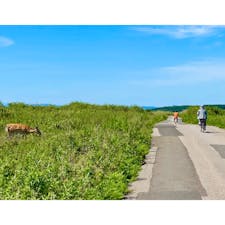 サロマ湖・ワッカ原生花園（北海道）で絶景サイクリング！

サロマ湖とオホーツク海を隔てる独特な地形（砂州）をレンタサイクルで巡ってきました✨

花々や野生動物、ワッカの水など、北海道の自然を感じながらサイクリングを楽しめました🥰