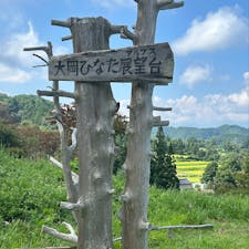 長野大岡ひなたダリア園に来ました