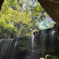 202507
熊本　小国
鍋ヶ滝

高さ約10m、幅20mのカーテンのような滝で
滝の裏側に行ける裏見の滝として大人気です
お茶のCMでも有名です

雨が全然降ってなかったので
水量が少なくて残念でしたが
雰囲気は味わえました

人気とあってすごい人でした