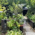 202507
熊本　小国

和の花

今回は、そば街道から離れてこちらのお店へ
緑に囲まれていて足を小川につけながら順番待ちもできます

蕎麦つゆの胡桃タレ、美味しかったです
鶏の地獄蒸しも、ホロホロと骨から身が外れてこちらも美味しかった