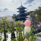 興正寺
こんなお寺あるの知らなかった！
#202503 #s愛知