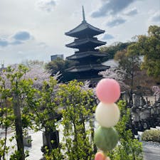 興正寺
こんなお寺あるの知らなかった！
#202503 #s愛知