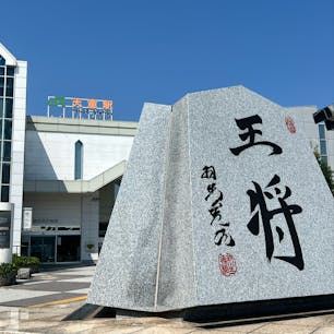【天童駅】in山形県天童市

天童といえば将棋✨
街のあちこちにあるものが将棋のコマの形に✨
ポストまでもが！！

2025.8.26🌻