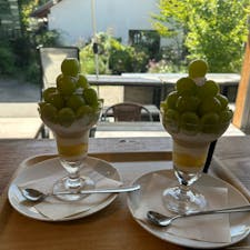 いつものブドウのパフェ
美味しかったです
