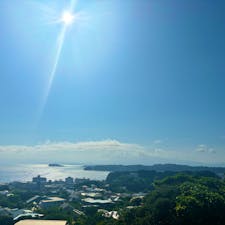 徒歩で行ったので少々道に迷ったが、公園に着き展望台に登った時の景色はすごく綺麗だった