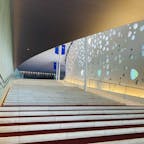 長野
まつもと市民芸術館

大階段が素敵

伊藤豊雄氏設計