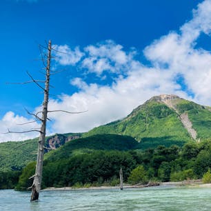 長野　上高地
焼岳

立ち枯れと焼岳