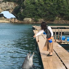 餌やり体験できた！