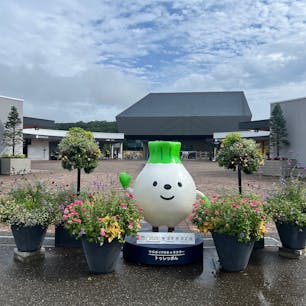 白老町に2020年にオープンしたアイヌの博物館。映像上映や演者によるプログラムが定期的に敷地内のあちこちの建物で行われていて、半日ぐらいはあっという間に過ぎてしまいました。ゴールデンカムイのコラボキャンペーンを来年2月までやってるそうで、お好きな方にはおすすめです。