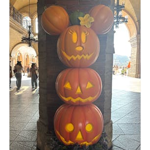 ディズニーハロウィン2025
9/17(水)〜10/31(金)

期間中、ランド、シー共にパーク内にハロウィンのデコレーションが登場！

シンデレラ城も夜はハロウィンカラーに輝きます。