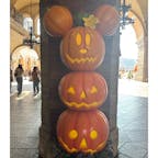 ディズニーハロウィン2025
9/17(水)〜10/31(金)
期間中、ランド、シー共にパーク内にハロウィンのデコレーションが登場!
シンデレラ城も夜はハロウィンカラーに輝きます。