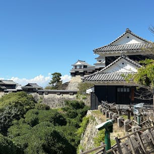松山城に行って来ました
まだ、暑く登るのに疲れました
天守閣からの眺めては良かった
