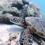 2025年9月　沖縄県
宮古島