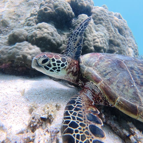 宮古島市・宮古島