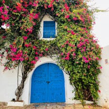 チュニジアで最も美しい街は、猫にも優しい街
ミントティーが美味しかった