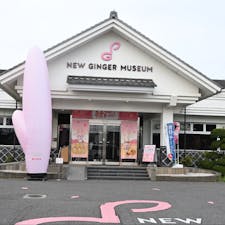 栃木・栃木市内にある「岩下の新生姜ミュージアム」。「岩下の新生姜」の魅力を発信するスポットで、歴史はもちろん、岩下の新生姜とコラボしたイベントや、オリジナル料理を堪能できますよ！

#栃木 #栃木市 #岩下の新生姜ミュージアム #ポケモン #岩下の新生姜