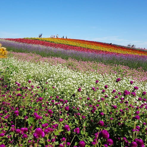 やくらいガーデン