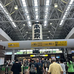 小田原提灯。浅草寺よりも大きいんです。