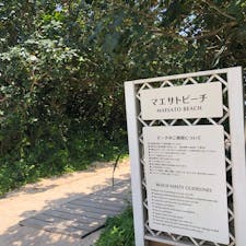 マエサトビーチ（沖縄　石垣島）

ANAインターコンチネンタルが石垣リゾートが管理している、人工ビーチです。
眩しくなるような白い砂浜に、青い空、そしてとても透明度の高いエメラルグリーンの海で、宿泊者だけではなく一般の方も自由に海で遊ぶことができます。
ANAのホテル宿泊者はパラソル＆チェア、バスタオルは無料で使うことができます。