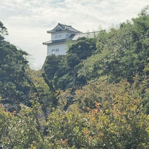 彦根城西の丸三重櫓



#彦根城#サント船長の写真