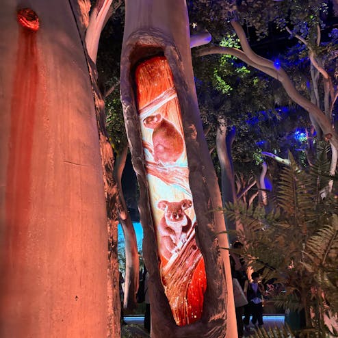 Expo2025 大阪・関西万博