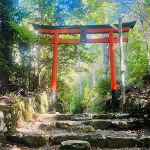 大原の勝手神社
三千院や来迎院といった大原の主要な寺院の近くにある、小さくも歴史のある神社です。
ココの参道が特に有名で鳥居から勝手大橋迄の僅か約150m間が良く話題に成り、取り上げられる。
ご祭神:は勝手明神
所在地: 京都府京都市左京区大原来迎院町

#サント船長の写真#勝手神社