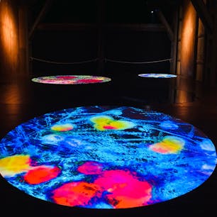 香川　引田
KASAYAソーシャル

酒蔵の桶たち
瀬戸内国際芸術祭2025