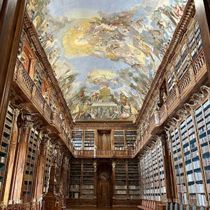 図書館とギャラリー、それぞれ入場料が掛かります。有名なのは美しい２つの部屋ですが、これだけ見たければ図書館のチケットだけで大丈夫です。
ギャラリーの方は教会美術や装飾品に興味がある方向けですかね。せっかくなのでついでに見てみるのも面白いです。
後は敷地内のレストランでは修道院のビールが楽しめるのと、東側の門出たところのview pointから景色は素晴らしいです。