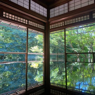 瑠璃光院
10月中旬に訪問