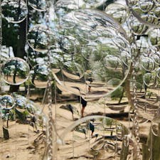 香川
津田の松原　琴林公園

たくさんのレンズ
キラキラ輝いてとても綺麗

瀬戸内国際芸術2025