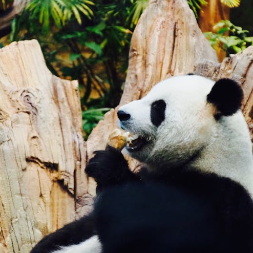 オーシャンパーク