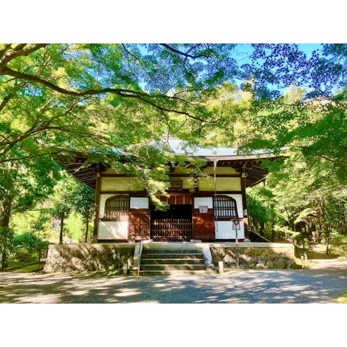 地蔵院（竹の寺）