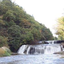 宮城の七ヶ宿にある滑津大滝。

間近でニ階滝と呼ばれる迫力ある滝を見られます。

滝から30分の場所には萬蔵稲荷神社があり、100基以上も続く朱色の鳥居があります。

#宮城県 #七ヶ宿 #滑津大滝  #萬蔵稲荷神社