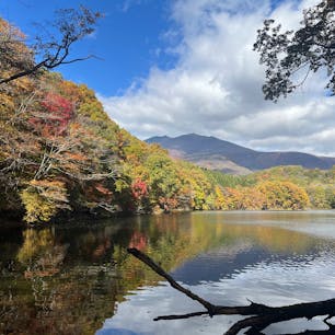 人が少なかったらすぐ引きかえそうと思ってたけど、バスの団体さんも来てたので気持ち安心して紅葉狩り。今年は🐻が怖くて穴場なんて行けません、紅葉は人が多い場所で楽しもう。