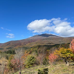 不忘平和記念公園からの蔵王山。太平洋戦争の時、蔵王連山の不忘山にB29爆撃機が3機墜落した（墜落した日は東京大空襲の日）という歴史から造られた平和公園だそうで、たくさんの桜が植樹されてたので何年か後には桜の名所になるかなぁ。蔵王山のビュースポットとしても見晴らし最高です。