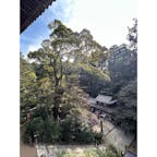 兵庫県/はづき茶屋

円教寺内の摩尼殿前にある御茶屋さん。
うどんやお餅などの軽食メニューやお土産があります。

よもぎ入りのちから餅を焼いてもらっていただきました。
美味しかったです😋


#puku2'25
#puku2"11
#オトナ女子2人プチ旅
#兵庫#姫路#神社仏閣#紅葉#グルメ