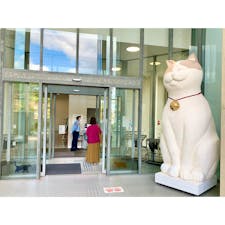 〈尾道市立美術館〉
千光寺公園内にある美術館。
黒猫ケンちゃんと警備員さんとのバトルが有名。