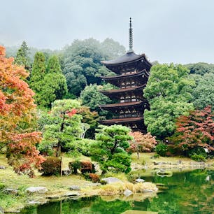 山口市
瑠璃光寺五重塔（国宝）
霧雨の中、しっとりと秋色に染まり始めた境内に足を踏み入れると、真っ先にこの景色が出迎えてくれました。