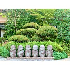 〈霊源院〉
通常は非公開ですが、甘茶が咲く時期に合わせて、枯山水庭園「甘露庭」が特別公開されます。
私も拝観したことはありませんが、前を通る時は、いつも六体の地蔵さんに癒されてます。