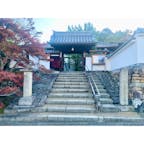 〈光明院①山門〉
東福寺塔頭の一つ。
早朝から拝観可能。