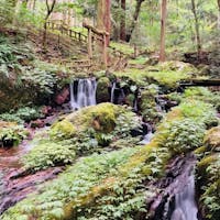 福井
瓜割の滝

苔岩の間を流れる滝
下流で名水をいただきました