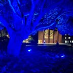 202510
神奈川 前田ホール
洗足学園音楽大学内にある
日本初のシューボックス型ホール
シューボックス型のコンサートホールとして
日本で初めて建設された本格的なホールです
音大生の演奏会やバレエやミュージカルなど
沢山の公演をみることができます