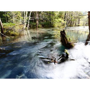 🇯🇵長野県 上高地
魚がたくさんいた🐟🐟🐟