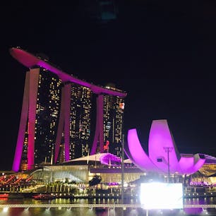 🏁🇸🇬シンガポール🇸🇬🏁