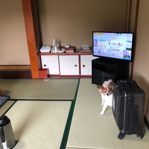 料理旅館むらさわ