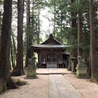 【 阿智神社（昼神温泉・長野）】
昼神温泉にある阿智神社は、「昼神」という名前の所以になった「天八意思兼命」が祀られています。
ひっそりとした場所にありますが、中に入ると、木々は太く、神聖な空気が漂っています。