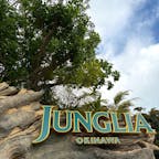 今年オープンのジャングリア沖縄。
いろいろ言われていますが、たくさん楽しんで満足出来ました！